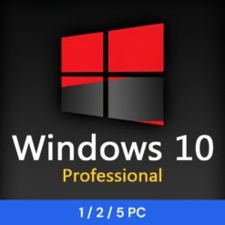 Windows 10 Professional